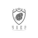 ALL COMPANY LOGO 2021-17